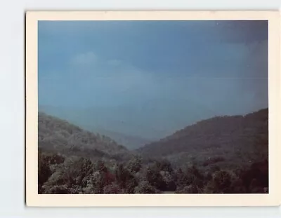 Postcard Morning Mists In Mt. Greylock Adams Massachusetts USA • $8.39