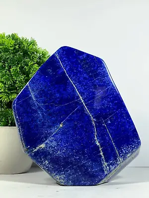 2028 Grams AAA+ Grade Lapis Lazuli Tumbled Stone Rough Polished From Afghanistan • $199.99