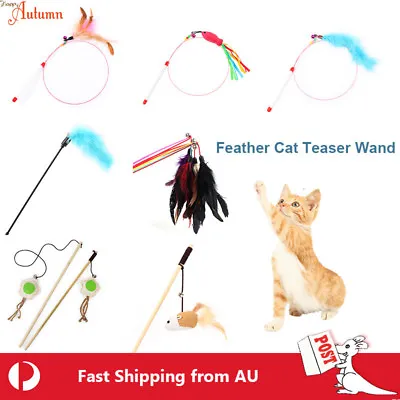 Feather Cloth Cat Teaser Wand Stick Play Toy Kitten Interactive Pet Fun Fish Fun • $6.49