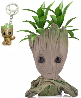 Udream Groot Plant Pot Cartoon Baby Groot Flower Pot With Drainage Hole Groot • £11.98