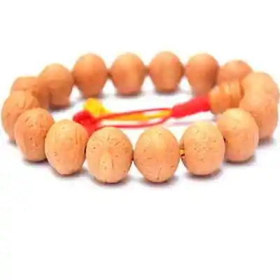 Tibetan Buddhist Bodhi Seeds Budda Chitta MAla Bracelet • $7.99