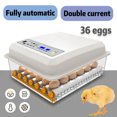 8/24/36/64Eggs Digital Egg Incubator LED Fully Automatic Turning Chicken Eggs • $28.99