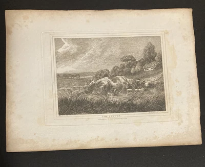 £9.99 • Buy Etching By Samuel Howitt THE SETTER