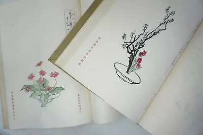 Japanese Ikebana Flower Arrangment Book Set With Approx. 200 Images 0626D18 • $138