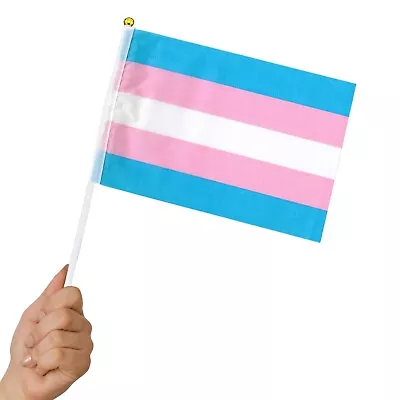 TRANSGENDER Pride Mini Stick Flags - LGBTQ+ Small Hand Held Party Parade Flag • $7.50