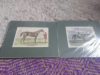 Horse Racing - Antique Prints X 2 Jouvence By Harry Hall Jester The Cessarewitch • £22