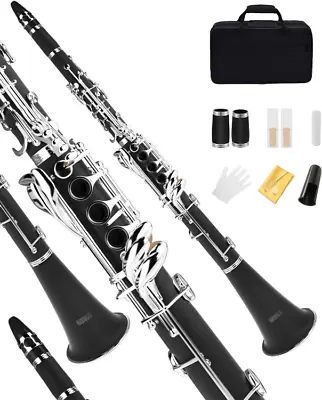 LAGRIMA B Flat Beginner Student Clarinet W/Case In Multiple Color • $75