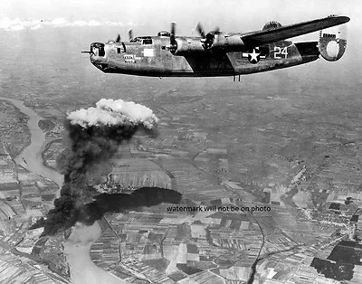 Fertile Myrtle USAAF Consolidated B-24 Liberator 8 X 10  World War II Photo 128 • $7.43