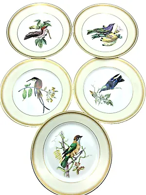 Vista Allegre Bird Cabinet Plate 8.5  Set 5 VA Hand Painted Gold Rim Portugal • $260