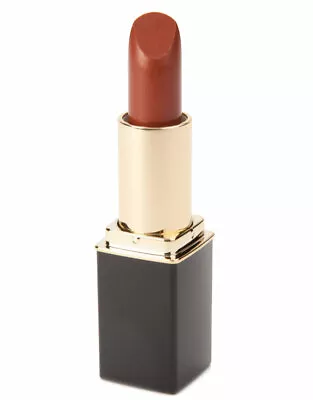 L'Paige L93 Bronze Designer LipstickAll-Natural AloeVera Long-lasting • $9.98