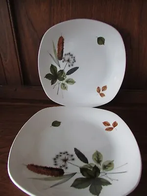 Midwinter Stylecraft Riverside Fashion Shape 2X25cms Dinner Plates • £4.50