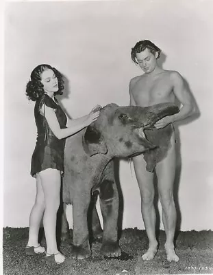 JOHNNY WEISSMULLER MAUREEN O'SULLIVAN Vintage Candid TARZAN FINDS SON MGM Photo • $14.95