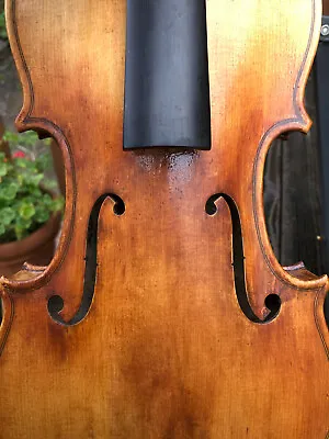 Vintage Restored  Violin Full Size No Label • $350