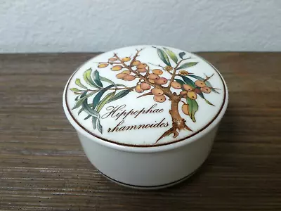 Villeroy Boch Botanica Lidded Trinket Box Porcelain 3  Luxembourg ~ Buckthorn • $7.99