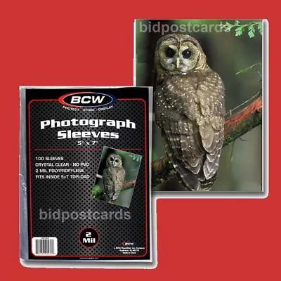 NEW 25 PK BCW 5 X 7 Photo  Poly Soft Sleeves Holders • $6.89