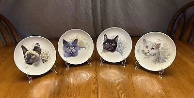 Cat Kitten Decor Porcelain Plate Kaiser Germany Vintage Lot Of 4 • $25