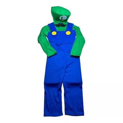 Super Mario Bros Luigi Costume Boys Small Green Blue Halloween Costume  • $29.90