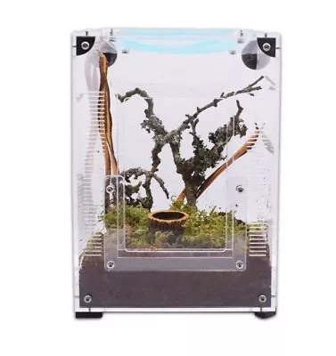£49.99 • Buy The Spider Shop Jumping Spider Starter Kit