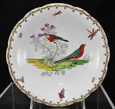 Antique Hand Painted German Porcelain Bird And Insects Tazza Circa 1800 • $75