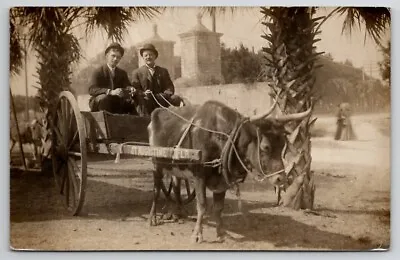 $12.95 • Buy RPPC St Augustine Florida Men Oxon Cart At Old City Gates 1908 Postcard B26