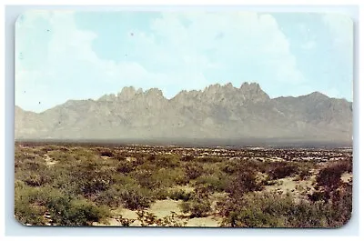 Postcard Organ Mountains Las Cruces New Mexico • $4.95