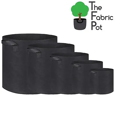 10 X Hydroponic Root Fabric Smart Pot Grow Bags Plant Container Pouch Bag Pots • £30.80