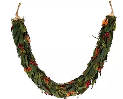 ED On Air Magnolia And Berry Preserved Garland By Ellen DeGeneres H209663 • $27.99