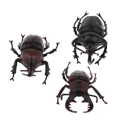 £12.88 • Buy 3x Lifelike Plastic Beetle Insect Figures Bugs Model For Kids Collections