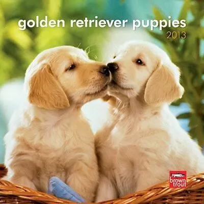 2013 Calendar Golden Retriever Puppies 2013 Mini Wall Calendar • $11.99