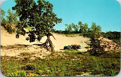 Vintage Postcard Dune Schooners Dune Vehicle Saugatuck Michigan MI A11 • $6.99