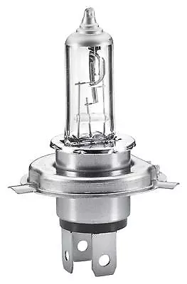 HELLA Spotlight Bulb 8GJ 223 498-221 Fits Daewoo Matiz 0.8 1.0 1998-2022 • $9.64