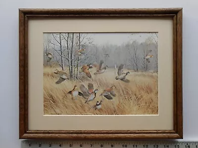 Maynard Reece HAZY DAYS-BOBWHITES 11x14 Framed 4.0 126 • $35