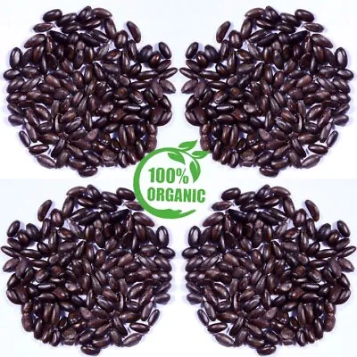 $7.99 • Buy 15+ New Soursop Seeds,100% Organic Annona Muricata Fruit Seeds 
