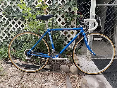 Vintage Schwinn Traveler Road Bike Size 48cm • $600