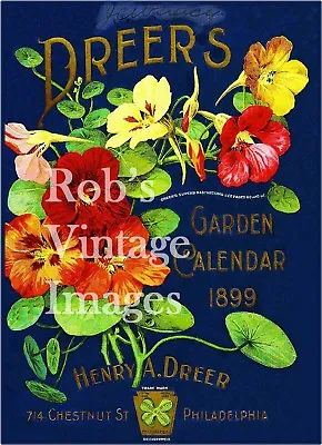 1899  Dreers Vintage Garden Flower Fruit Seed Packet  C Poster Art Print  • $9.97