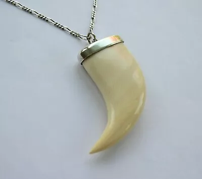 Fabulous Large Sterling Silver Horn Of Plenty Pendant On 21  Long Figaro Chain • £29