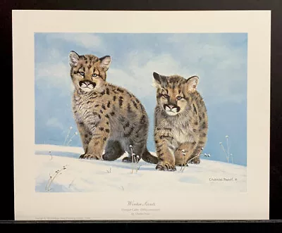 Charles Frace Open Edition Print “Winter Scouts” Cougar Cubs • $39.95