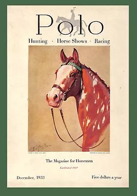 10677.Decorative Poster.Interior Design Art.Home Wall Decor.Horse.Polo.Equine • $45