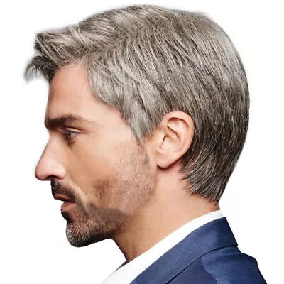 Handsome Mens Short Wig Male Synthetic Hair Cosplay Party Full Wigs • £10.82