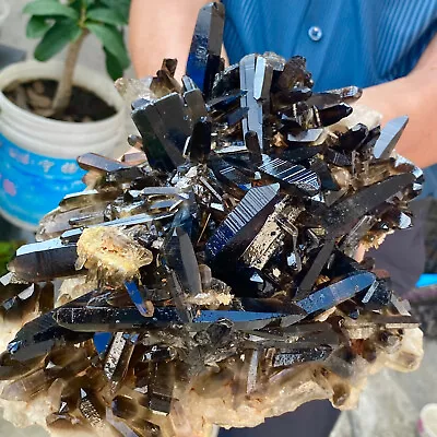 6.05LB Natural Beautiful Black Quartz Crystal Cluster Mineral Specimen • $0.99