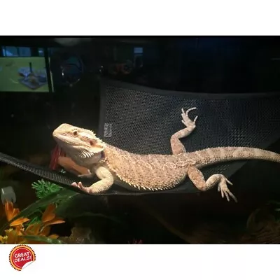 $13.75 • Buy Reptile Hammock Bearded Dragon Bed Resting Lizard Lounger Terrarium Decoration 2