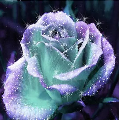 $32.99 • Buy 5D DIY Full Drill Diamond Painting Glitter Flower Cross Stitch Embroidery