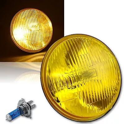 H6024/6014 7  Yellow Amber Stock Glass Headlight H4 Halogen Fog Light Single • $39.95