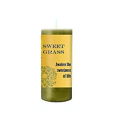 World Magic Sacred White Sage Candle - 2X4 • $18.50