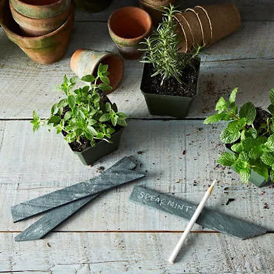 £8.50 • Buy 10 Natural Slate Garden Bush, Plant Markers Label Tag Pointed Stakes Herb Gift