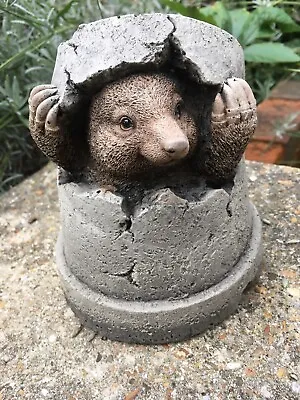 Cute Mole Hiding In A Pot Statue - Garden Ornament  - Hand Cast • £16