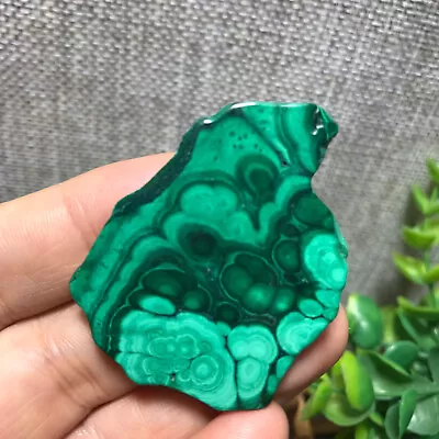 17g Natural Polished Malachite Mineral Freeform Specimen Mineral Reiki Stone 743 • $1.26