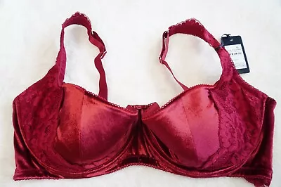 CITY CHIC PLUS SIZE 22F-G Sylvie Bra Velvet Sexy Lingerie 1/4 Cup Fox And Royal • $32.99