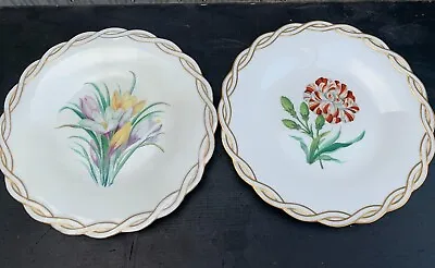 £10 • Buy 2 Victorian MINTON Cabinet Plates Carnation & Crocus Flowers Twist Border 1840's
