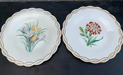 2 Victorian MINTON Cabinet Plates Carnation & Crocus Flowers Twist Border 1840's • £5